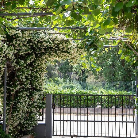 Apartmani Dina Biograd Na Moru Exteriér fotografie